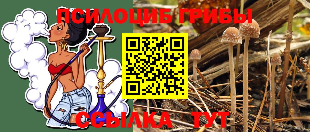 Галлюциногенные грибы Cubensis  Вход с VPN  Конаково 